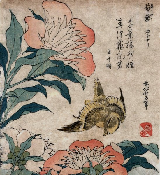 Shakuyaku kana ari  by Katsushika Hokusai - Hand-Painted Oil Painting Reproduction
