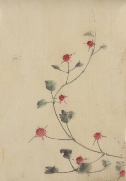 Small red blossoms on a vine  by Katsushika Hokusai - Hand-Painted Oil Painting Reproduction