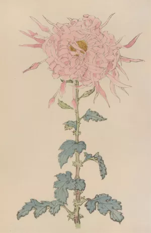 Keika hyakugiku, Pl.09 by Keika Hasegawa Oil Painting
