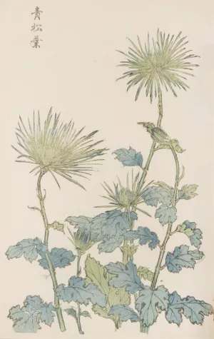 Keika hyakugiku, Pl.18 by Keika Hasegawa Oil Painting