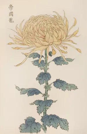 Keika hyakugiku, Pl.26 by Keika Hasegawa Oil Painting