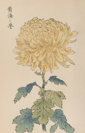 Keika hyakugiku, Pl.33 by Keika Hasegawa Oil Painting