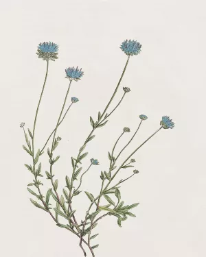 Blue Wispy I by Kelly Donovan Oil Painting