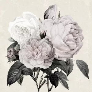 Botanical Arrangement I by Kelly Donovan Oil Painting