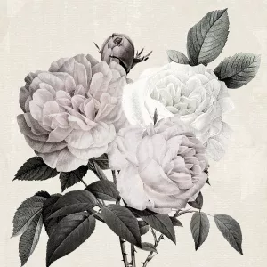 Botanical Arrangement II by Kelly Donovan Oil Painting