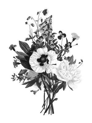 Botanical Black and White III by Kelly Donovan Oil Painting