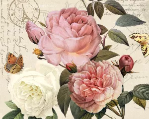 Botanical Sonanta II by Kelly Donovan Oil Painting
