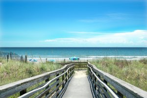 Carolina Coast by Kelly Donovan Oil Painting