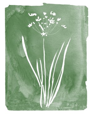 No Frame Rolled Canvas