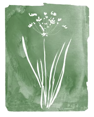 Green Botanical II by Kelly Donovan Oil Painting