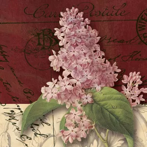 Postcard Lilac by Kelly Donovan Oil Painting