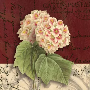 Postcard Snowball by Kelly Donovan Oil Painting