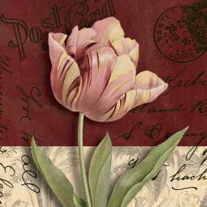 Postcard Tulip by Kelly Donovan Oil Painting