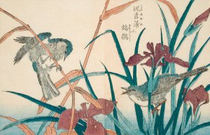 Reed Warbler with Reeds and Iris by Kitao Shigemasa Oil Painting