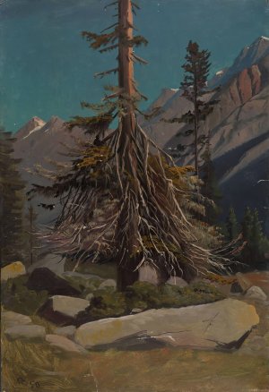 Study of Trees in the Alps by Knud Baade Oil Painting