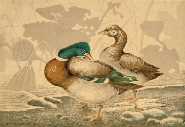 Ducks and Withered Lotus  by Kobayashi Kiyochika - Hand-Painted Oil Painting Reproduction