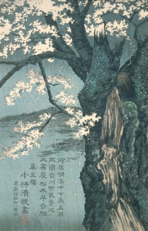 Warrior Taira no Tadanori about to Sleep under a Cherry Tree by Kobayashi Kiyochika Oil Painting