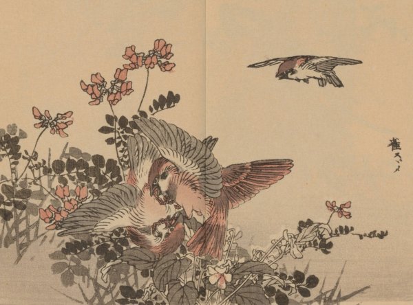 Bairei gafu, Pl.04  by Kono Bairei - Hand-Painted Oil Painting Reproduction