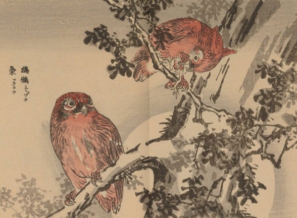 Bairei gafu, Pl.09  by Kono Bairei - Hand-Painted Oil Painting Reproduction
