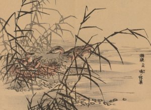 Bairei gafu, Pl.14 by Kono Bairei Oil Painting
