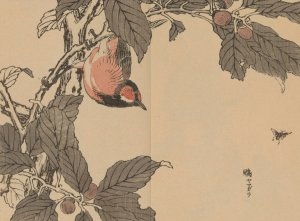 Bairei gafu, Pl.16 by Kono Bairei Oil Painting