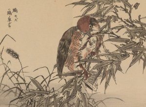 Bairei gafu, Pl.18 by Kono Bairei Oil Painting