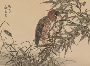 Bairei gafu, Pl.18 by Kono Bairei Oil Painting