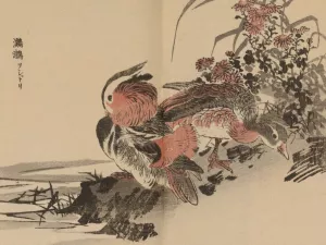 Bairei gafu, Pl.23 by Kono Bairei Oil Painting