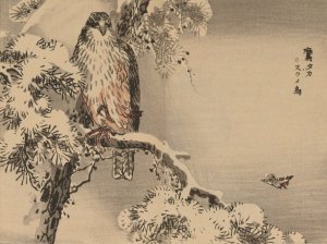 Bairei gafu, Pl.24 by Kono Bairei Oil Painting