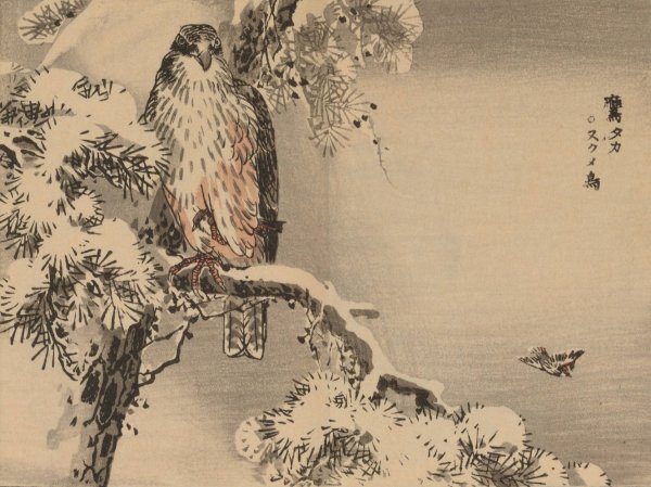 Bairei gafu, Pl.24  by Kono Bairei - Hand-Painted Oil Painting Reproduction