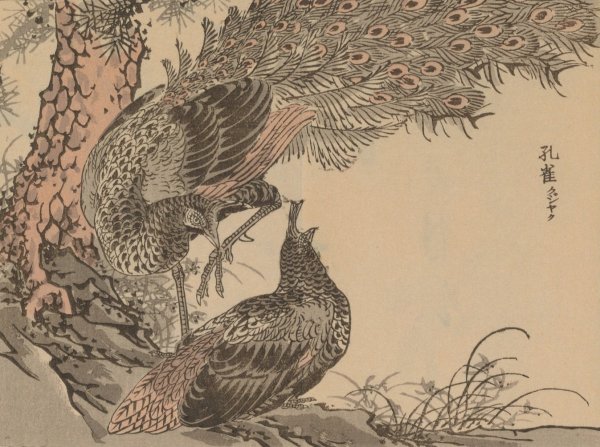 Bairei gafu, Pl.26  by Kono Bairei - Hand-Painted Oil Painting Reproduction