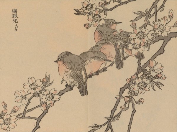 Bairei gafu, Pl.27  by Kono Bairei - Hand-Painted Oil Painting Reproduction