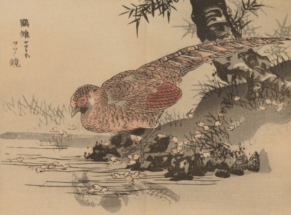 Bairei gafu, Pl.28  by Kono Bairei - Hand-Painted Oil Painting Reproduction