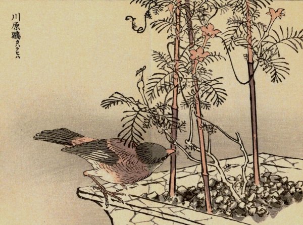 Bairei gafu, Pl.30  by Kono Bairei - Hand-Painted Oil Painting Reproduction