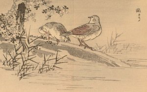 Bairei gafu, Pl.31 by Kono Bairei Oil Painting