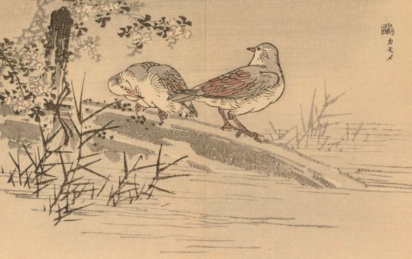 Bairei gafu, Pl.31  by Kono Bairei - Hand-Painted Oil Painting Reproduction