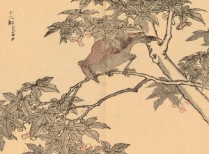Bairei gafu, Pl.32 by Kono Bairei Oil Painting