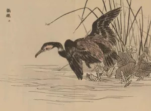 Bairei gafu, Pl.33 by Kono Bairei Oil Painting