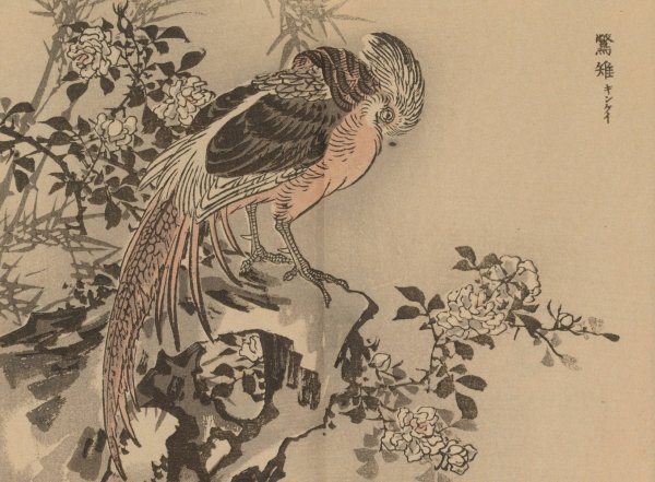 Bairei gafu, Pl.37  by Kono Bairei - Hand-Painted Oil Painting Reproduction