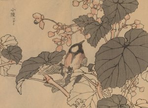 Bairei gafu, Pl.39 by Kono Bairei Oil Painting