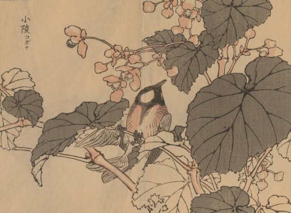 Bairei gafu, Pl.39  by Kono Bairei - Hand-Painted Oil Painting Reproduction