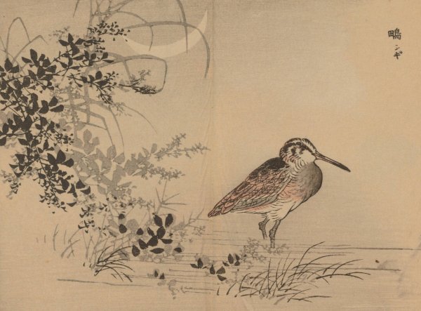 Bairei gafu, Pl.40  by Kono Bairei - Hand-Painted Oil Painting Reproduction