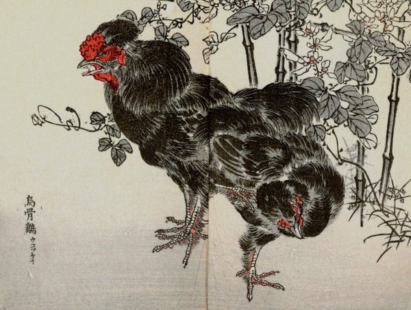 Bairei gafu, Pl.41  by Kono Bairei - Hand-Painted Oil Painting Reproduction