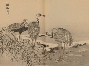 Bairei gafu, Pl.42 by Kono Bairei Oil Painting