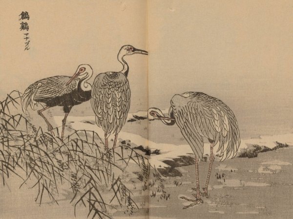 Bairei gafu, Pl.42  by Kono Bairei - Hand-Painted Oil Painting Reproduction