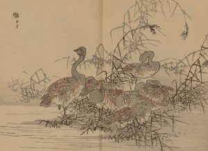 Bairei gafu, Pl.43 by Kono Bairei Oil Painting