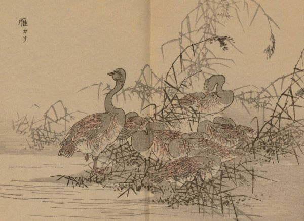 Bairei gafu, Pl.43  by Kono Bairei - Hand-Painted Oil Painting Reproduction