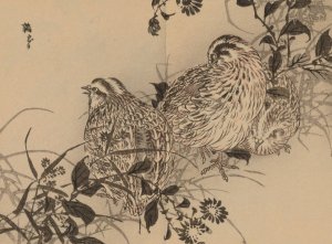 Bairei gafu, Pl.44 by Kono Bairei Oil Painting