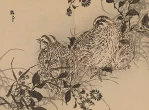 Bairei gafu, Pl.44 by Kono Bairei Oil Painting