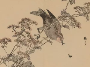 Bairei gafu, Pl.45 by Kono Bairei Oil Painting